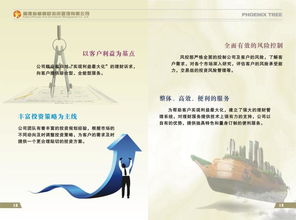 福建省梧桐樹投資管理圖冊 洞悉資產管理的專業藍圖